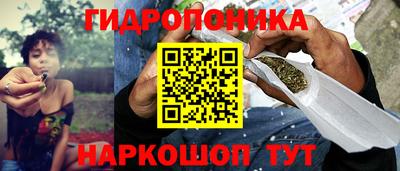 индика Комсомольск-на-Амуре