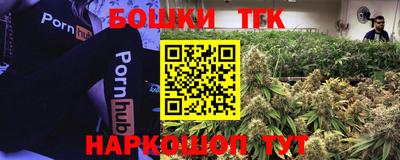 индика Комсомольск-на-Амуре