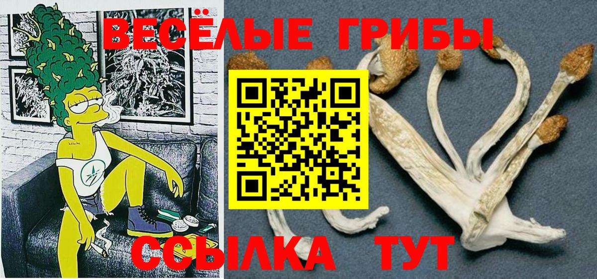 купить  цена  Вход с VPN  Галлюциногенные грибы Cubensis  Волоколамск  Псилоцибиновые грибы ЛСД 